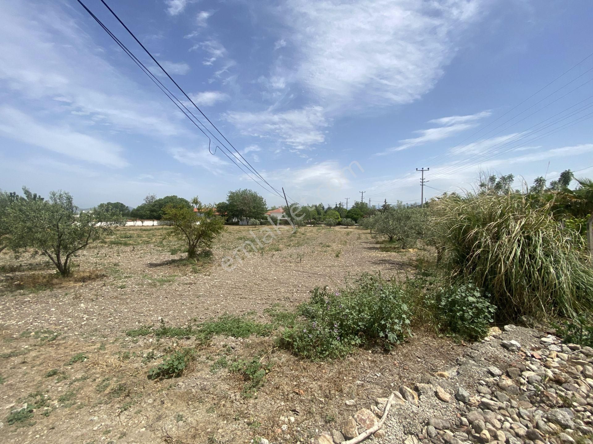 Balıkesir Gömec Keremköy De Satılık Ciftlikevi. - Görsel 15