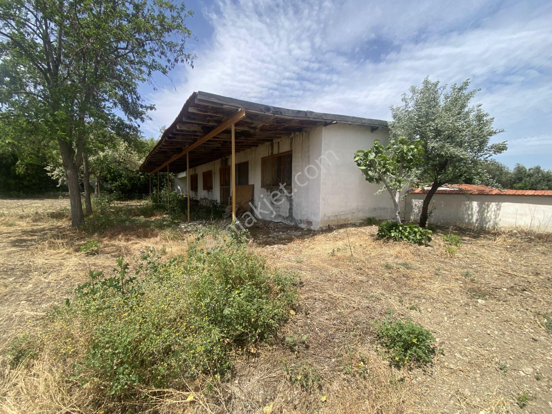 Balıkesir Gömec Keremköy De Satılık Ciftlikevi. - Görsel 13