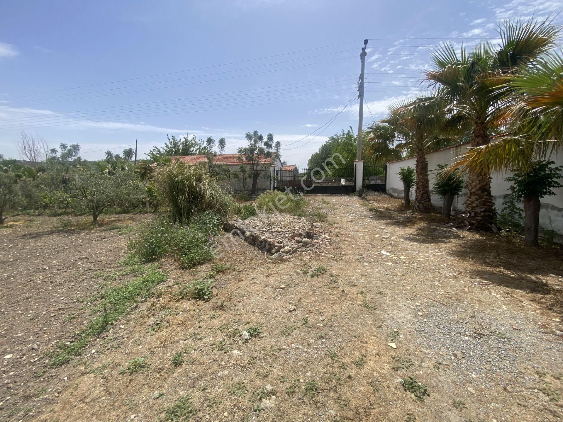 Balıkesir Gömec Keremköy De Satılık Ciftlikevi. - Görsel 3