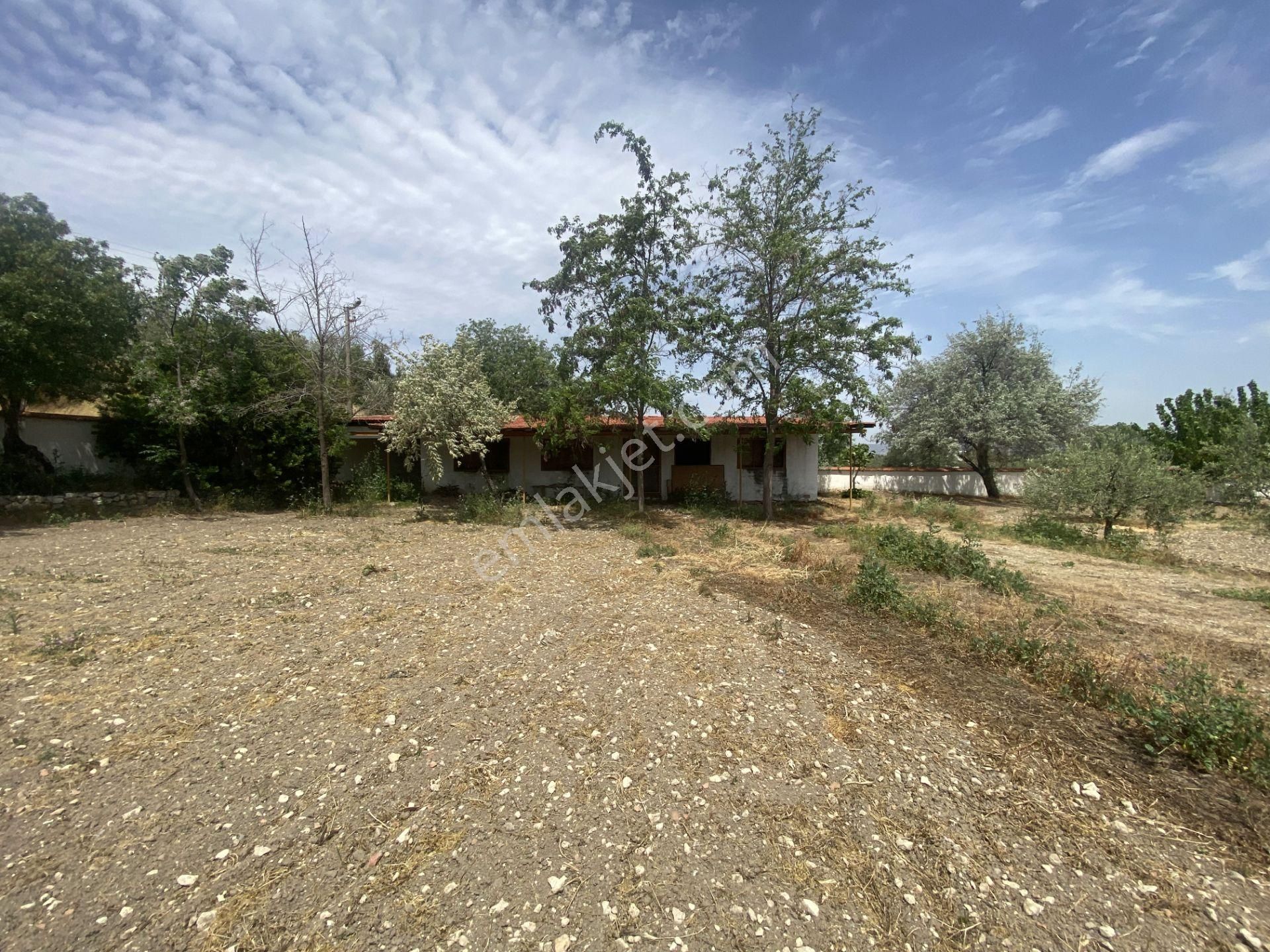 Balıkesir Gömec Keremköy De Satılık Ciftlikevi. - Görsel 6