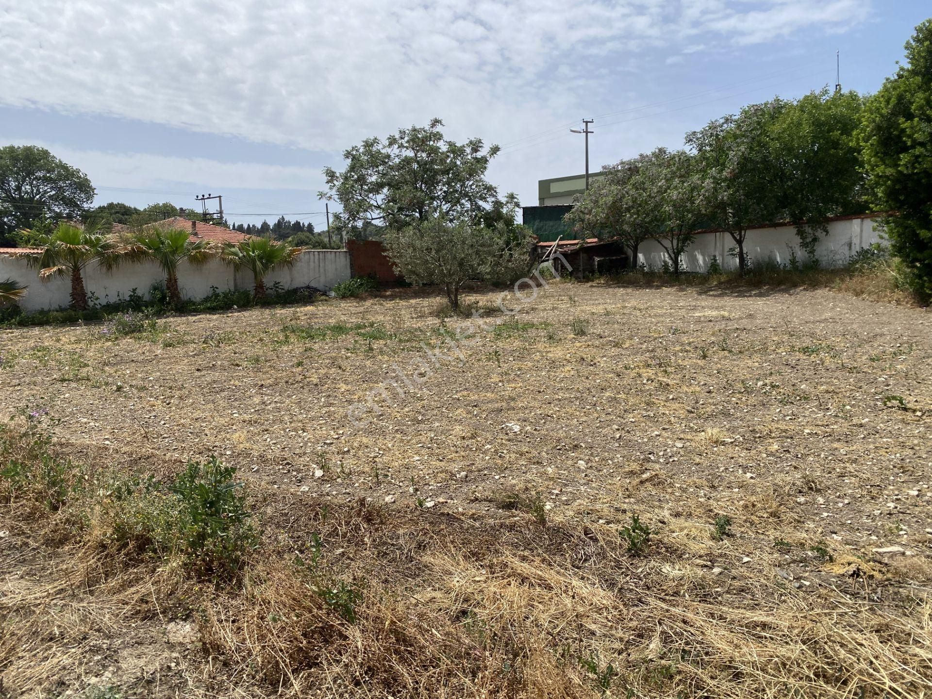 Balıkesir Gömec Keremköy De Satılık Ciftlikevi. - Görsel 10