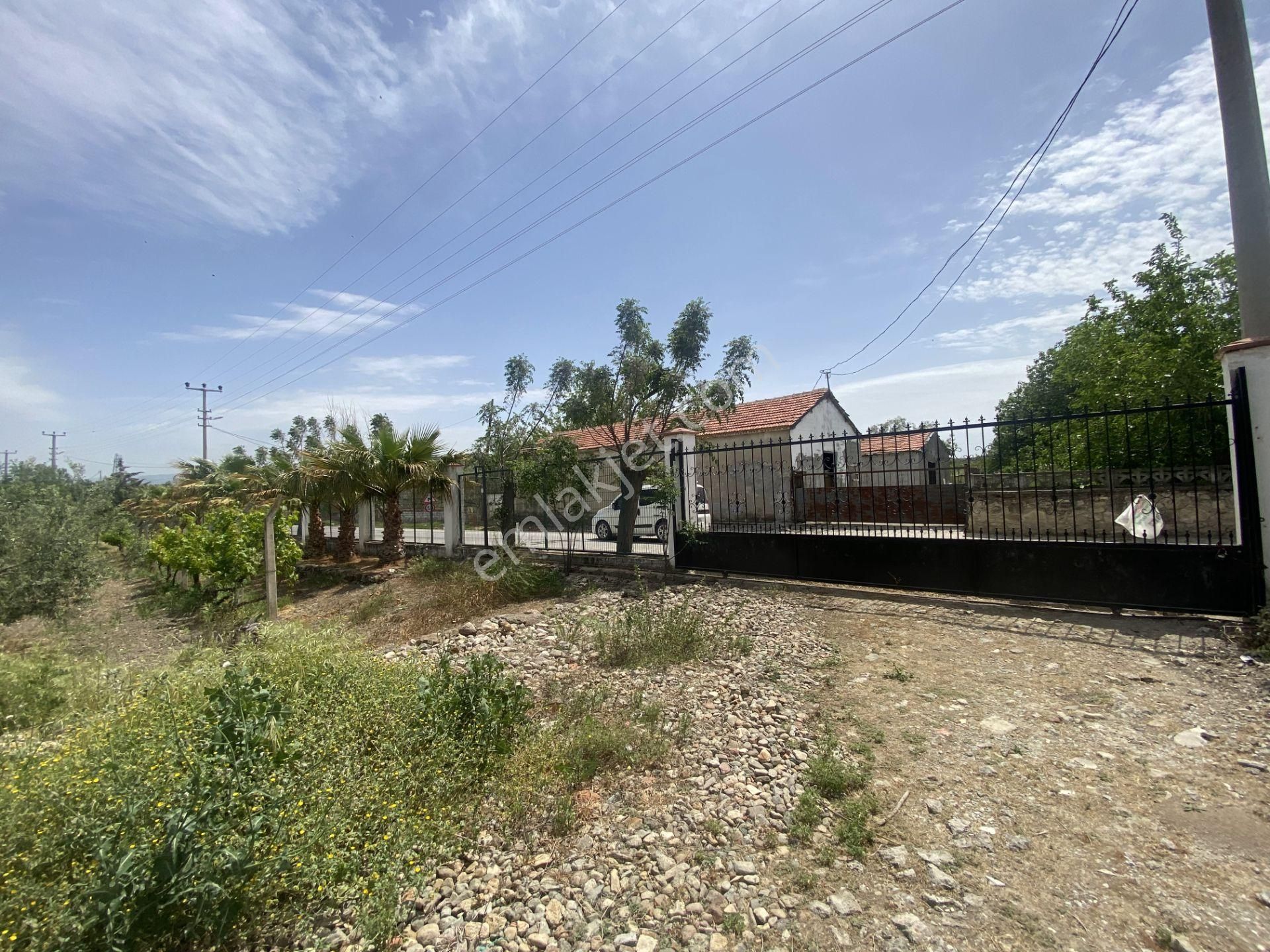 Balıkesir Gömec Keremköy De Satılık Ciftlikevi. - Görsel 2