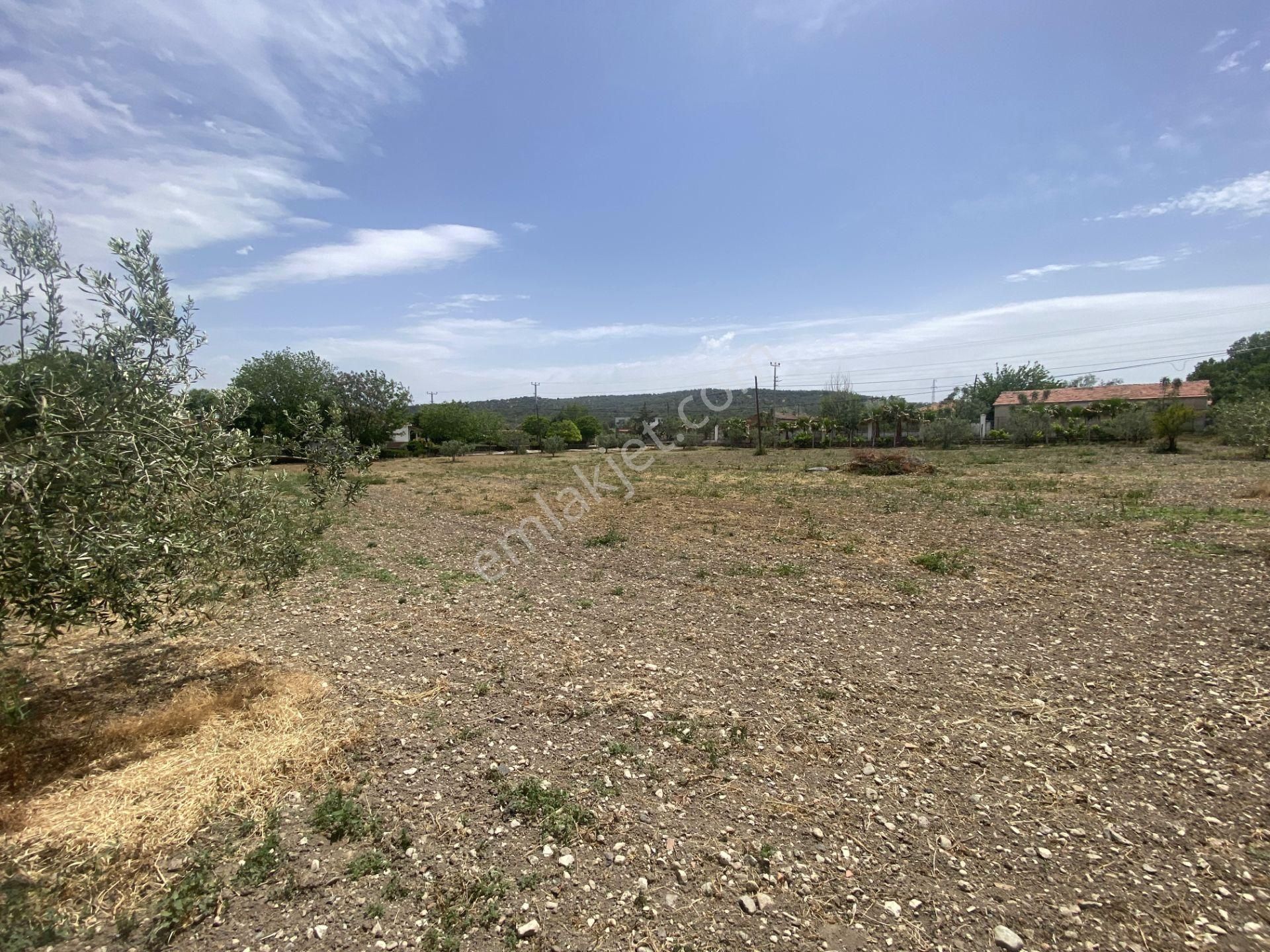 Balıkesir Gömec Keremköy De Satılık Ciftlikevi. - Görsel 9