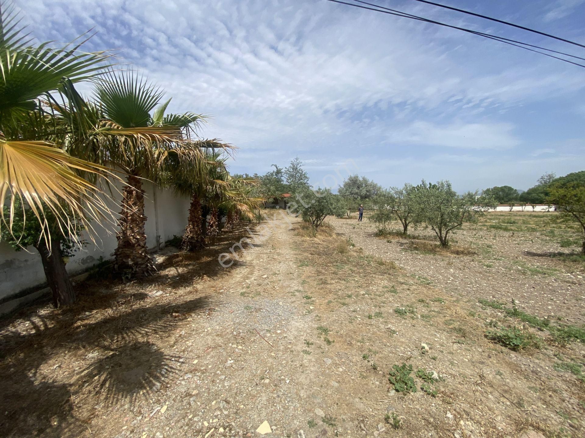 Balıkesir Gömec Keremköy De Satılık Ciftlikevi. - Görsel 14