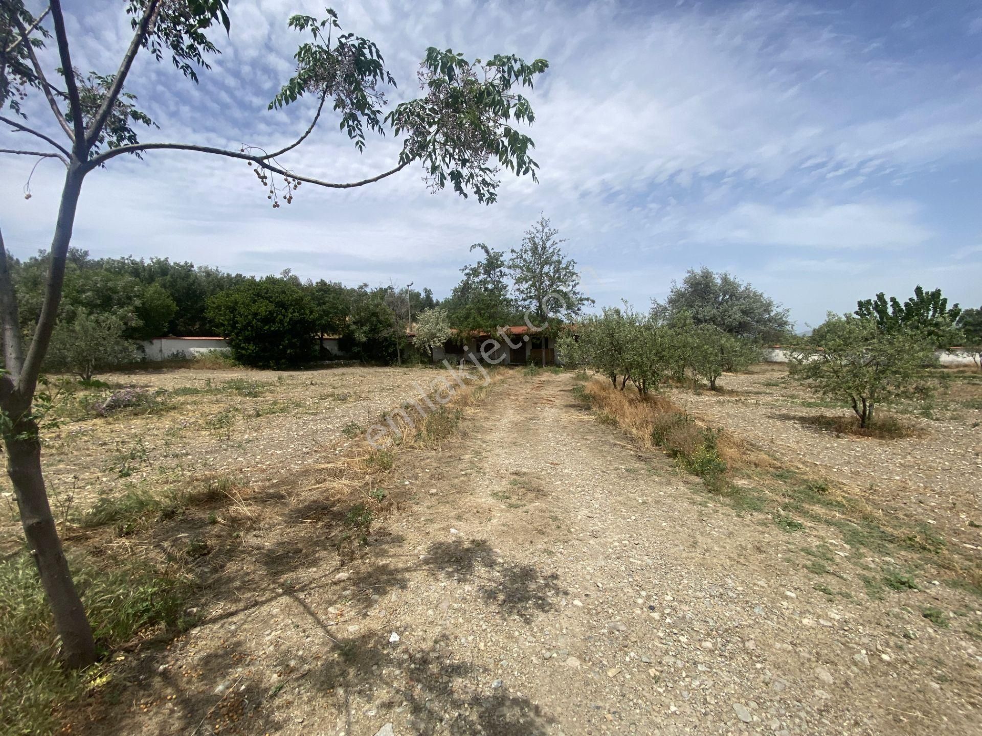 Balıkesir Gömec Keremköy De Satılık Ciftlikevi. - Görsel 16