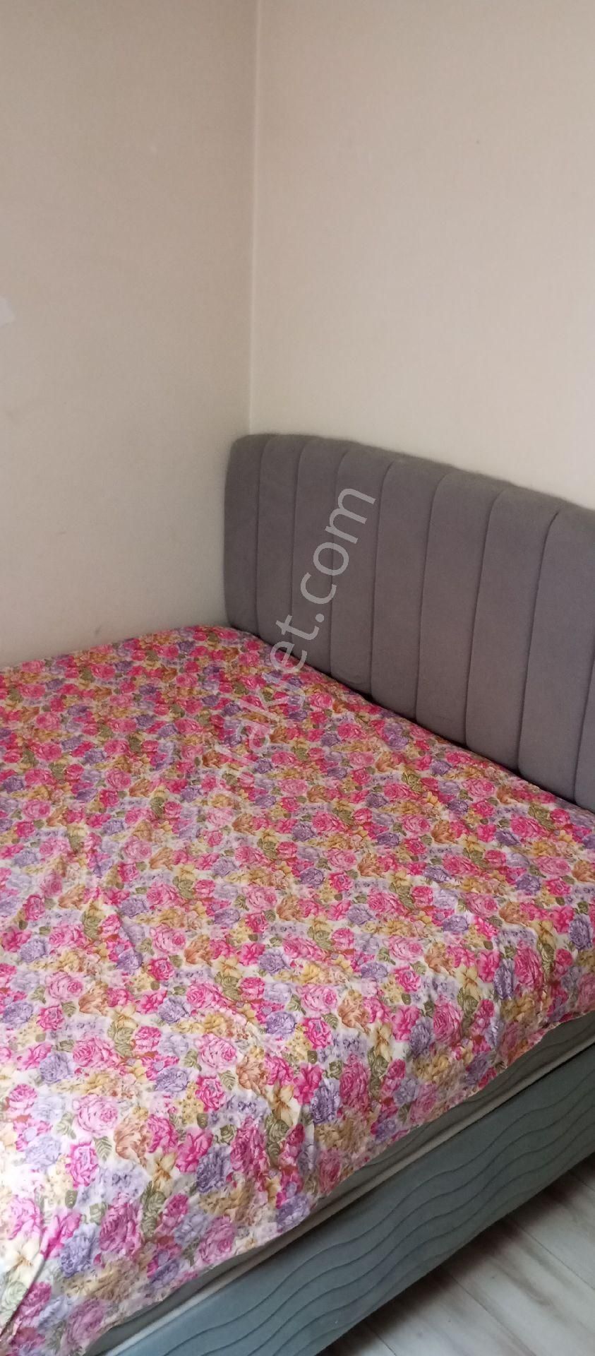 Yeşilyurt Mahallesinde Merkezi Lokasyonda 1+1 Eşyalı Kiralık Daire - Görsel 2