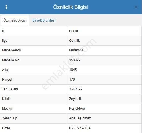 Bursa Gemlik Muratobada Satılık Zeytinlik - Görsel 15