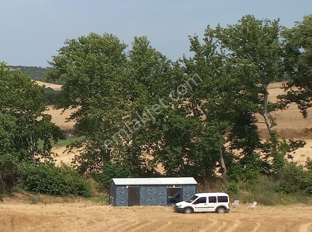 Karabiga Bekirli Köy'ün De İçinde Konteyner Olan 5,755m² Arazi