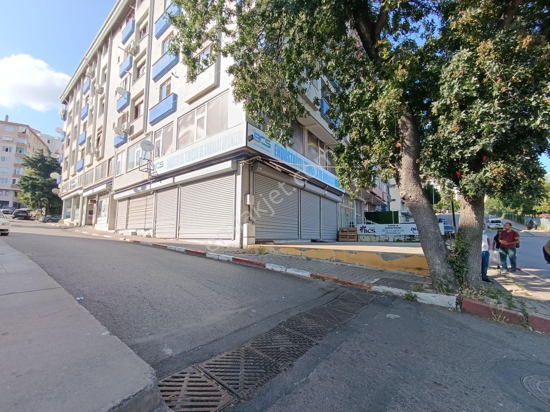 Kartal Kartal Karlıktepe Soğanlık Caddesi Üstünde Satılık 330m2 + 110m2 Bahçe - Görsel 21