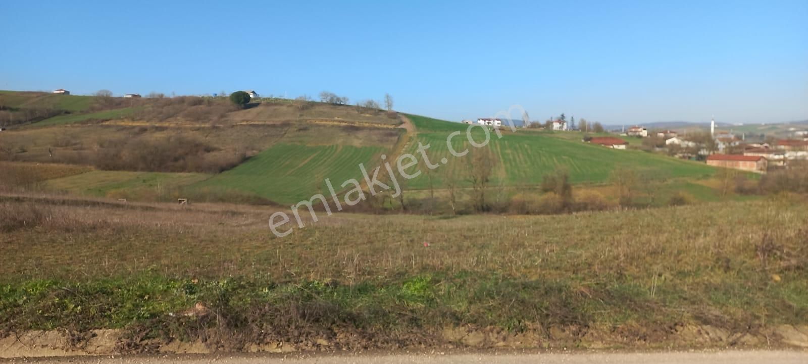 Kocaeli Körfez Himmetlide Satılık 1.677m2 Köy Karşısı %5 İmarlı Tarla - Görsel 5