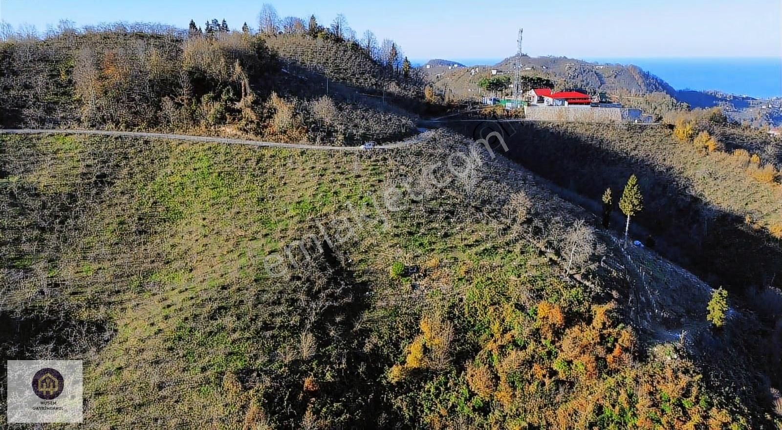 Hüsem Gayrimenkul'den Eriklik Köyünde Satılık Fındık Bahçesi - Görsel 5