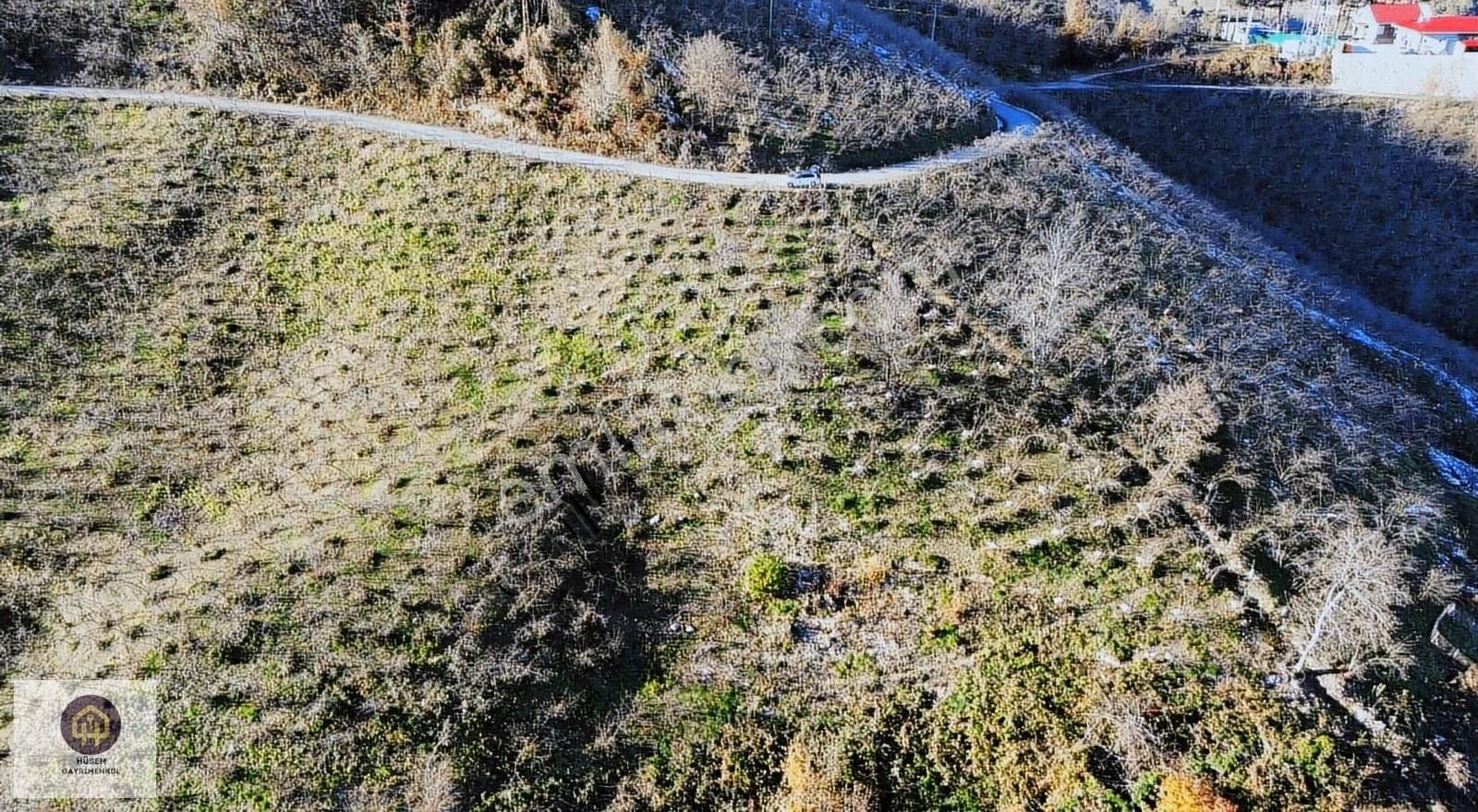 Hüsem Gayrimenkul'den Eriklik Köyünde Satılık Fındık Bahçesi - Görsel 3