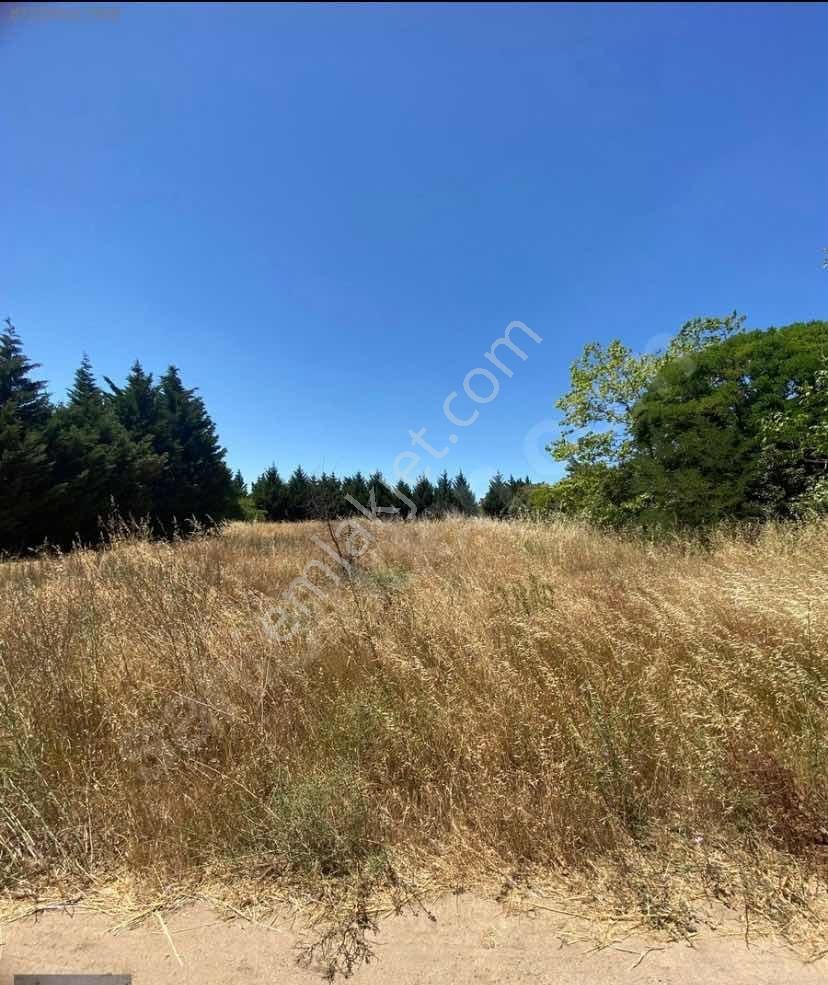 Çorlu Önerlerde 1070 M2 İmarlı Satılık Arsa - Görsel 2