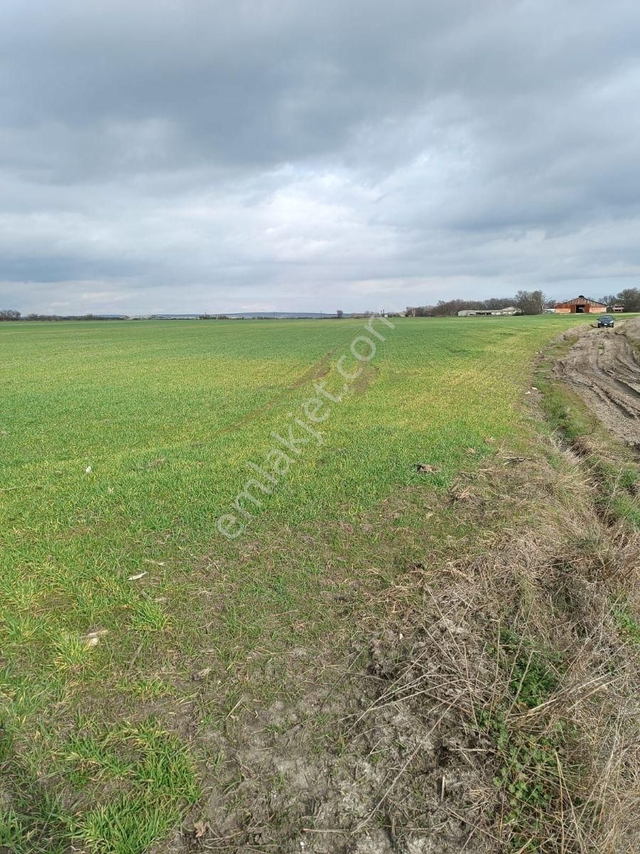 Saray Edirköyde Köy Dibinde 3 Adet 700 M2 Hisseli Parsel - Görsel 8