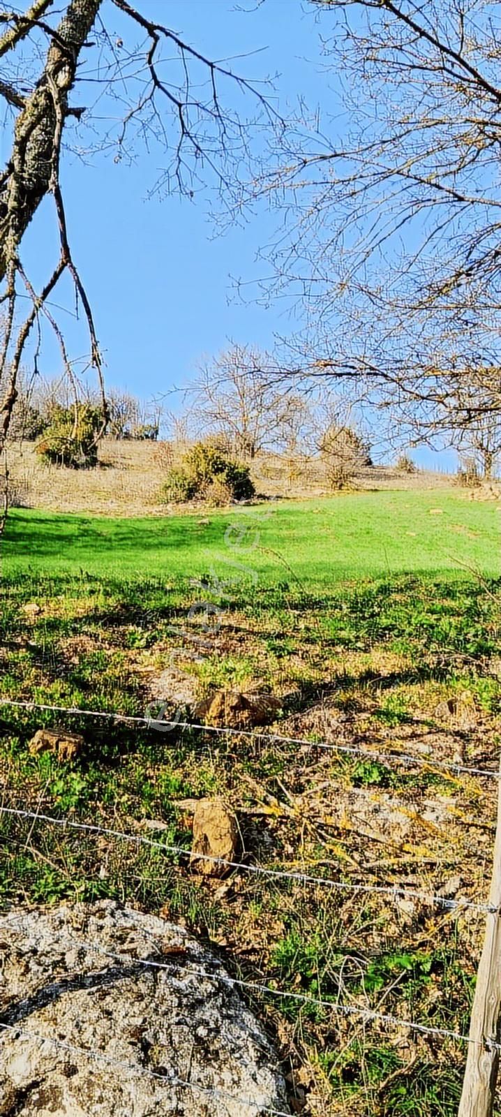 Çanakkale Lapseki Beyçayır Köyü 5246 M2 Satılık Arazi - Görsel 27