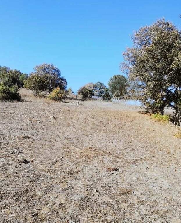 Çanakkale Lapseki Beyçayır Köyü 5246 M2 Satılık Arazi - Görsel 8