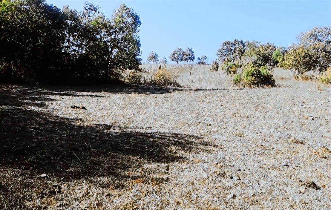 Çanakkale Lapseki Beyçayır Köyü 5246 M2 Satılık Arazi - Görsel 25