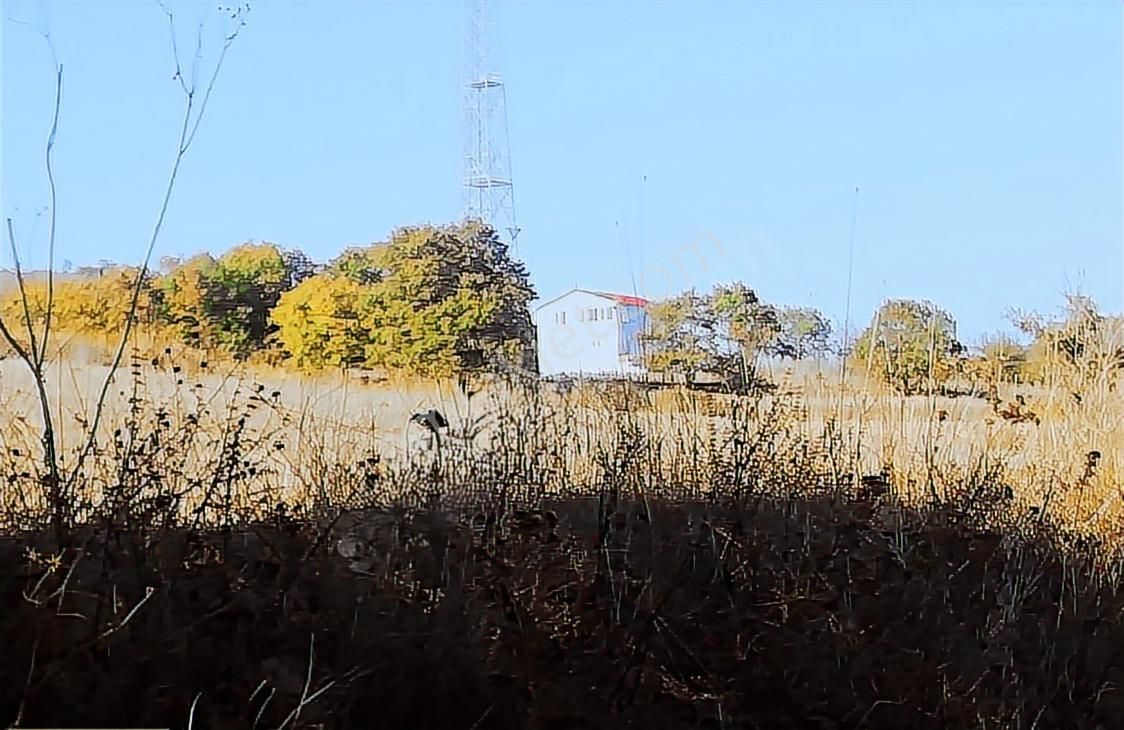 Çanakkale Lapseki Beyçayır Köyü 5246 M2 Satılık Arazi - Görsel 30