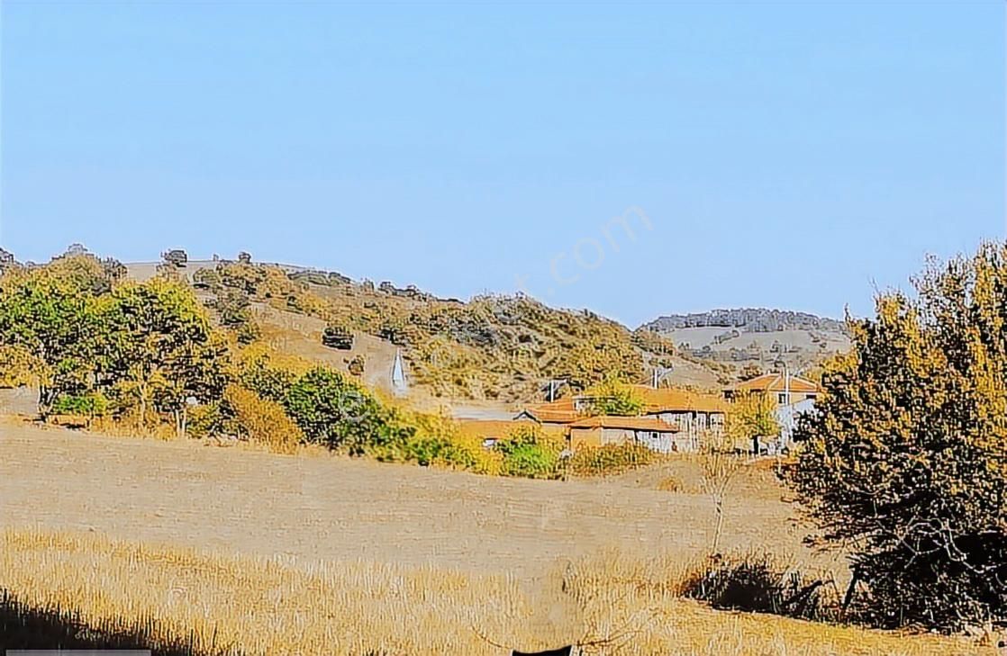 Çanakkale Lapseki Beyçayır Köyü 5246 M2 Satılık Arazi - Görsel 2