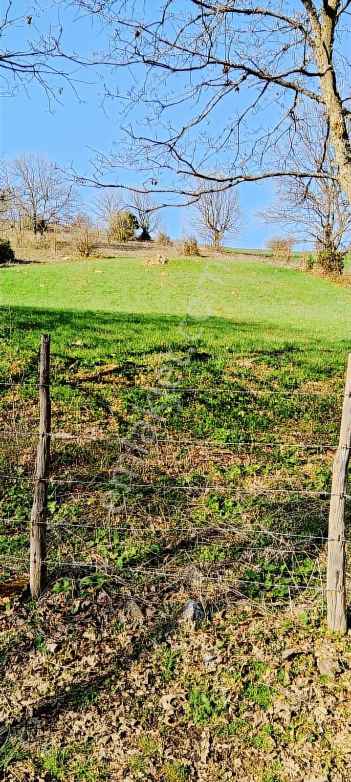 Çanakkale Lapseki Beyçayır Köyü 5246 M2 Satılık Arazi - Görsel 12