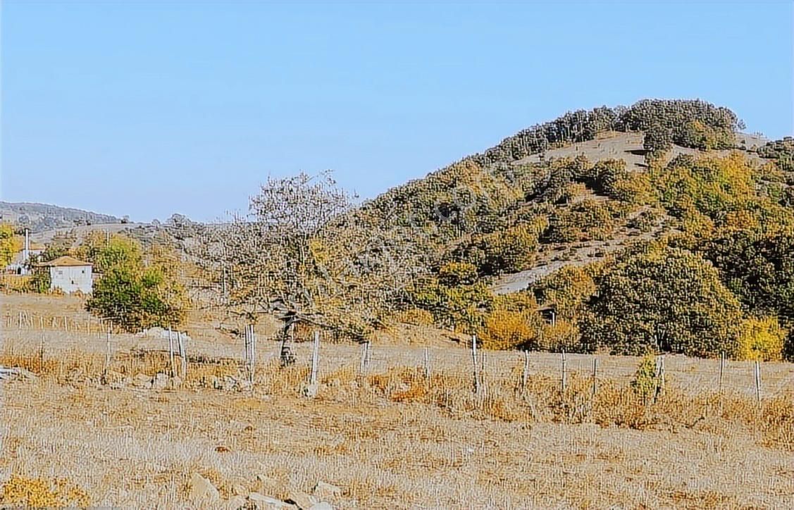 Çanakkale Lapseki Beyçayır Köyü 5246 M2 Satılık Arazi - Görsel 22