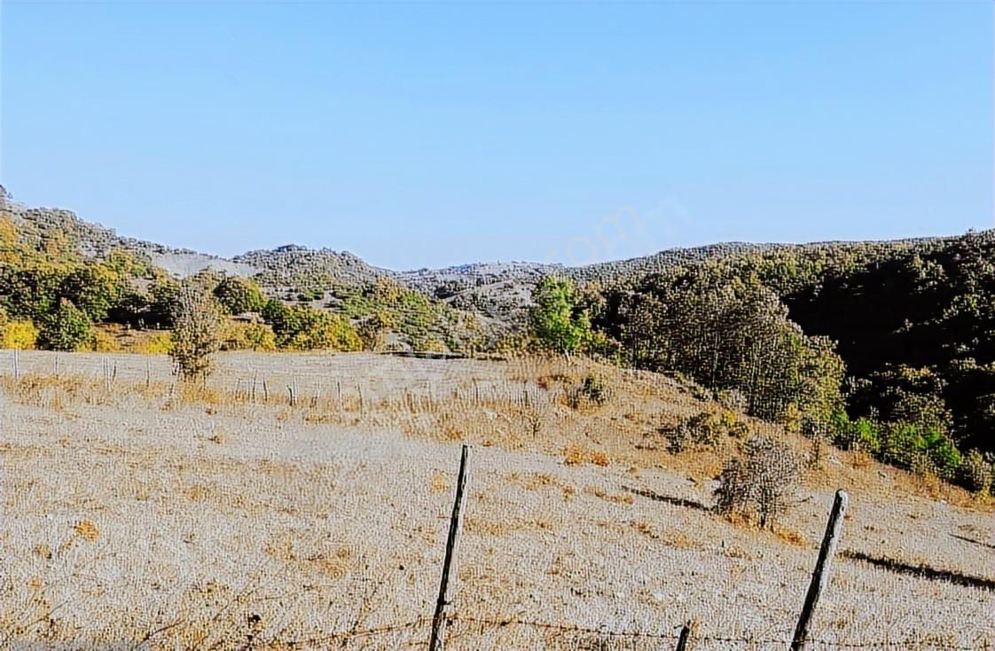 Çanakkale Lapseki Beyçayır Köyü 5246 M2 Satılık Arazi - Görsel 24