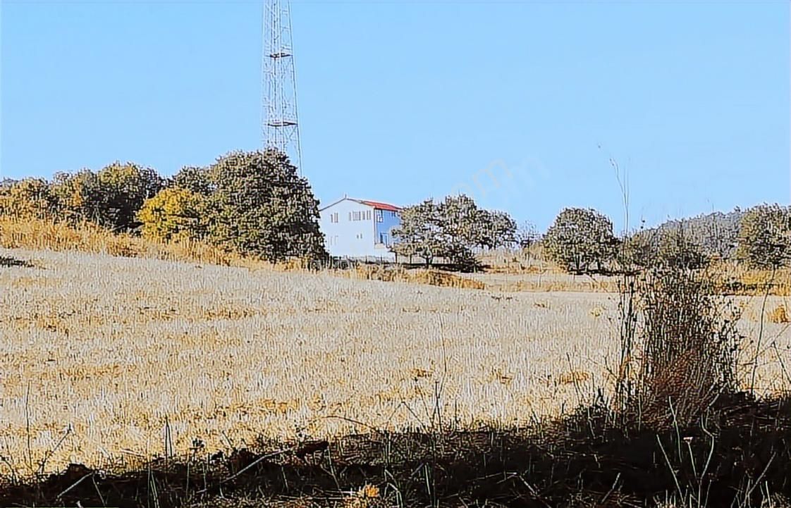 Çanakkale Lapseki Beyçayır Köyü 5246 M2 Satılık Arazi - Görsel 23