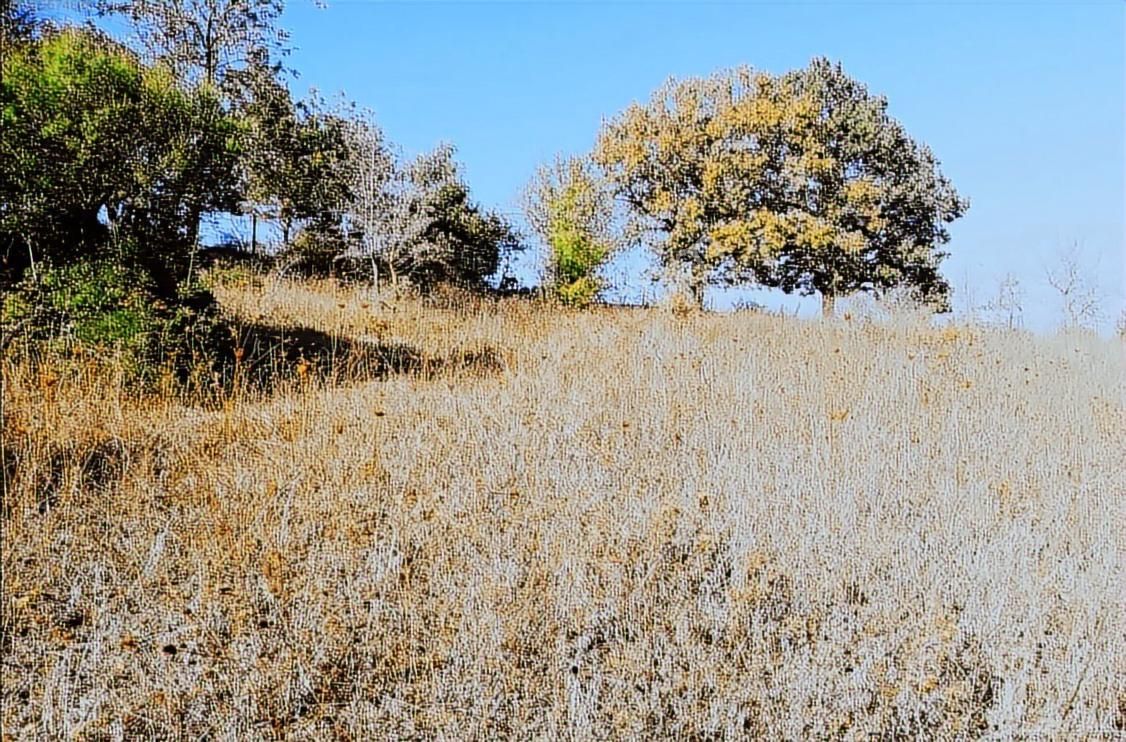 Çanakkale Lapseki Beyçayır Köyü 5246 M2 Satılık Arazi - Görsel 31