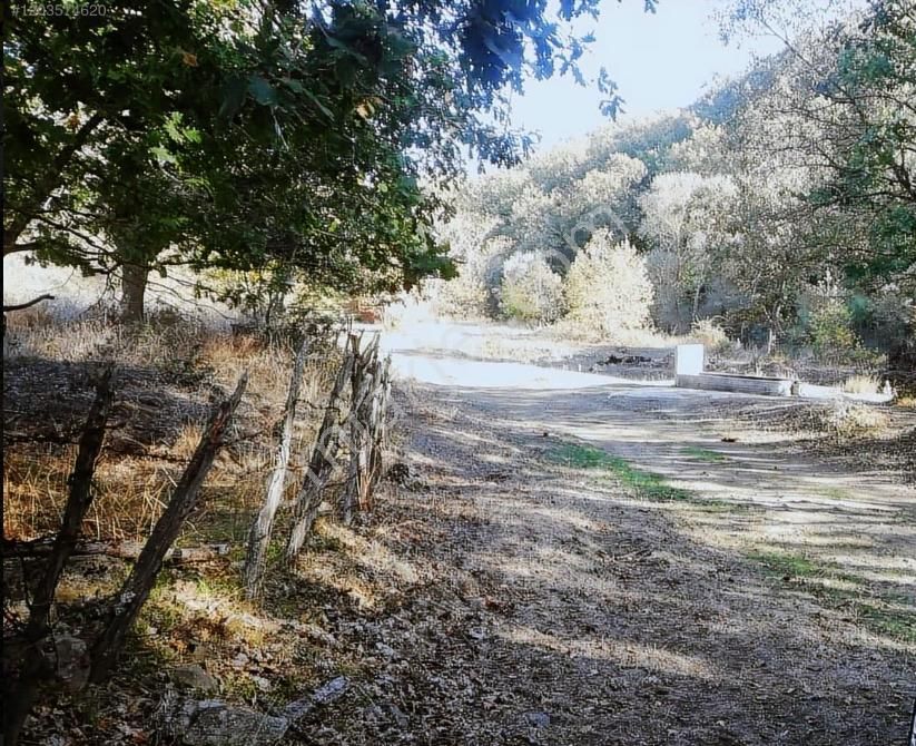 Çanakkale Lapseki Beyçayır Köyü 5246 M2 Satılık Arazi - Görsel 17