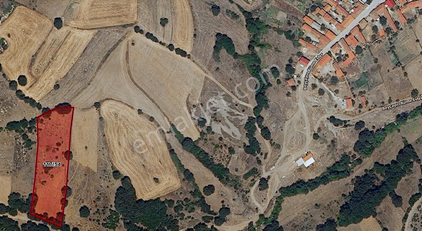 Çanakkale Lapseki Beyçayır Köyü 5246 M2 Satılık Arazi