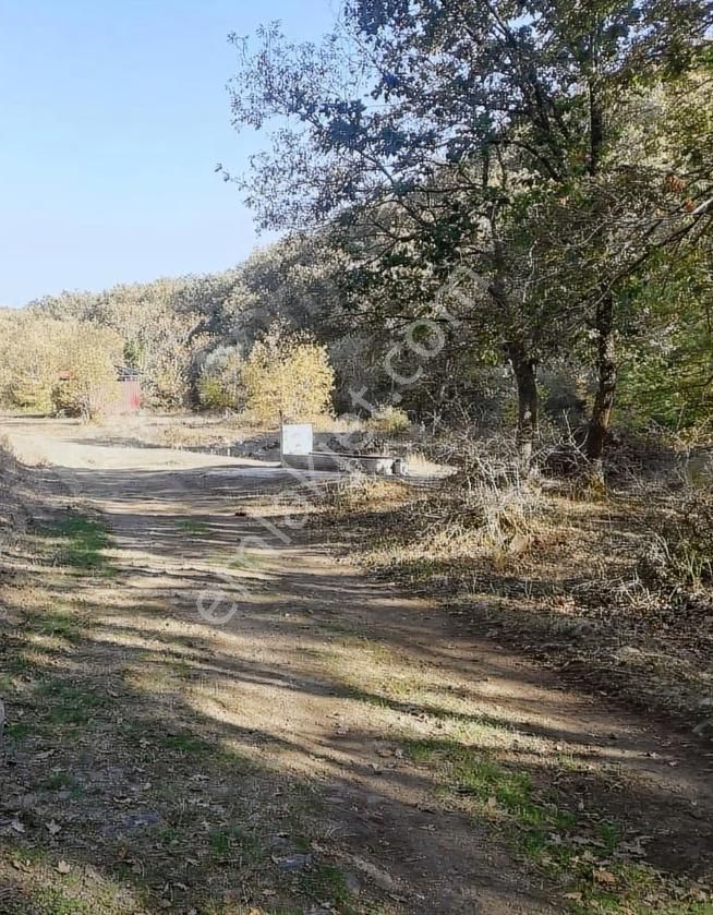 Çanakkale Lapseki Beyçayır Köyü 5246 M2 Satılık Arazi - Görsel 21