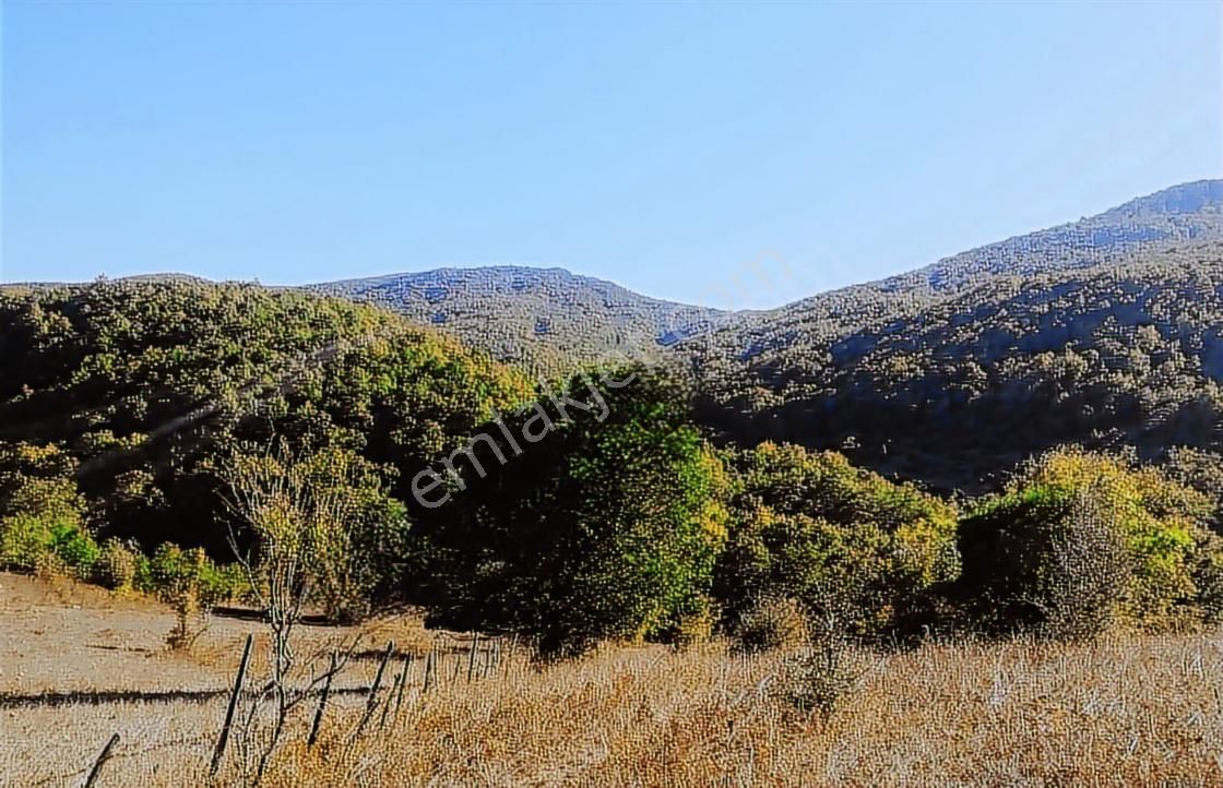 Çanakkale Lapseki Beyçayır Köyü 5246 M2 Satılık Arazi - Görsel 32