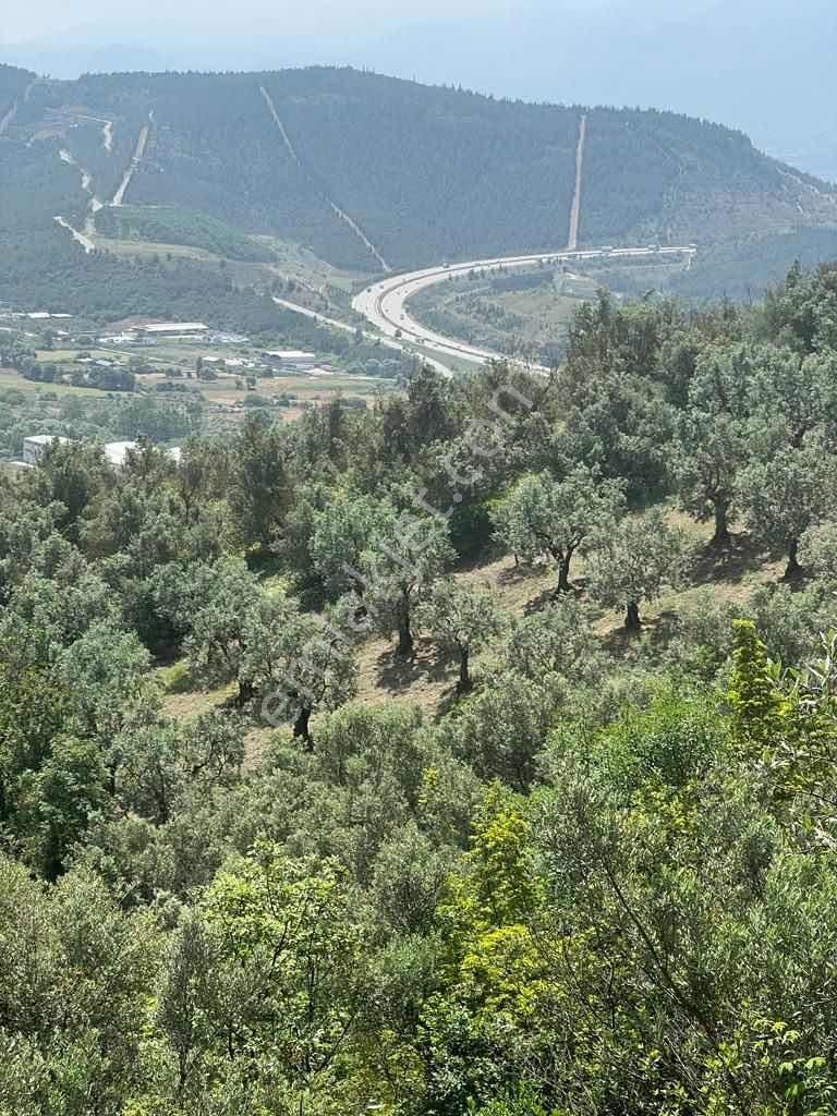Bursa Demirtaş Barbaros'ta Satılık Yatırımlık Tarla - Görsel 12