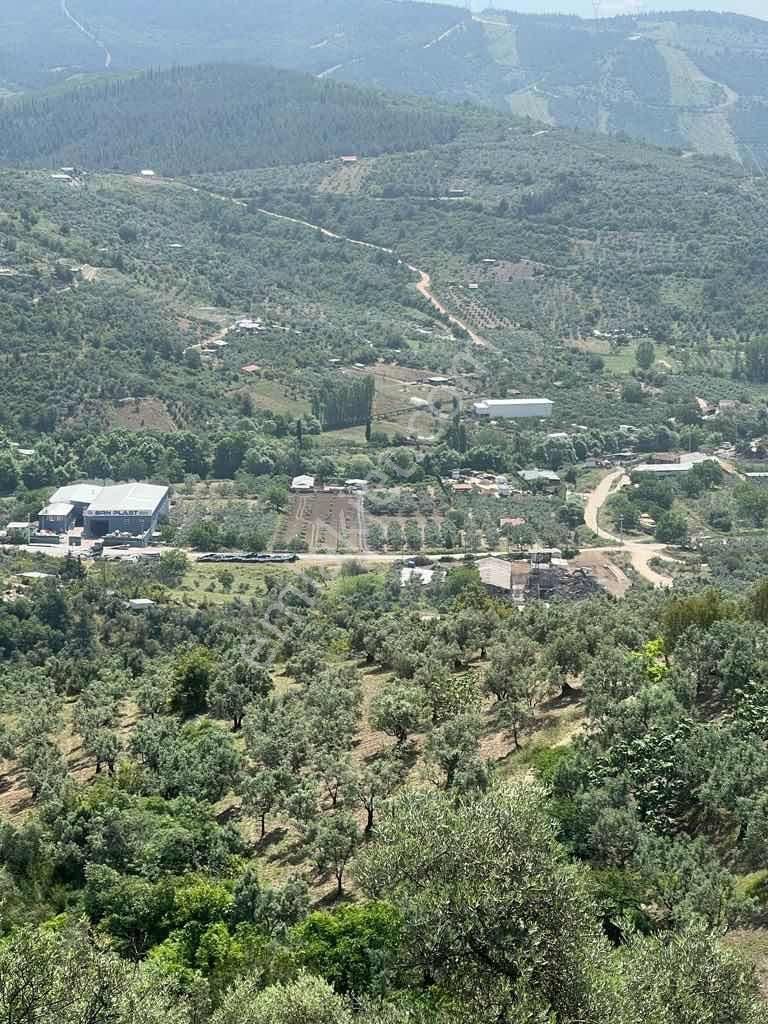Bursa Demirtaş Barbaros'ta Satılık Yatırımlık Tarla - Görsel 15