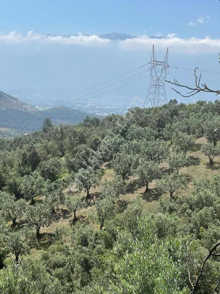 Bursa Demirtaş Barbaros'ta Satılık Yatırımlık Tarla - Görsel 19