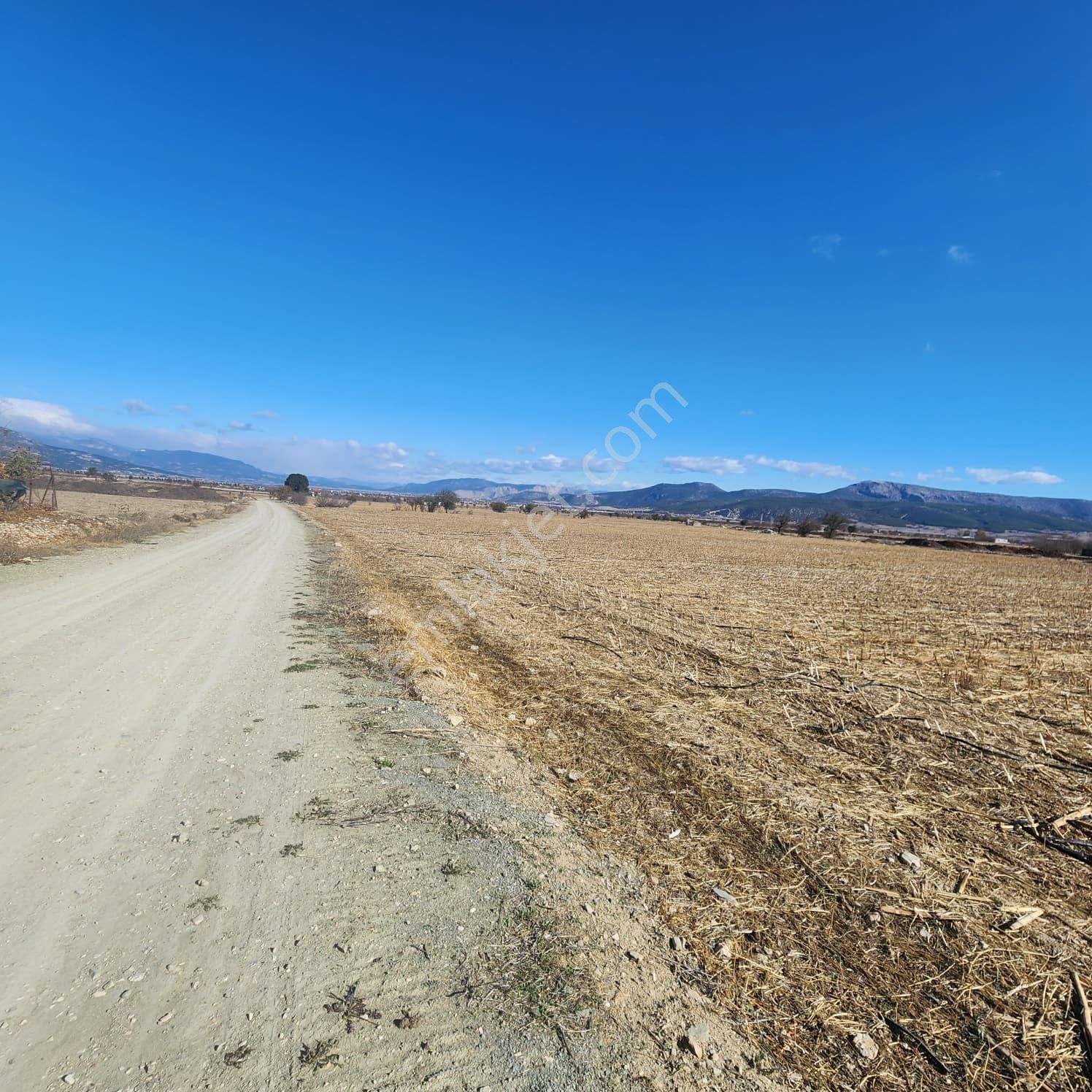 Ev Ve Araç Takasına Uygun Köy Yerleşim Sınırında 30 Dönüm Tarla - Görsel 2