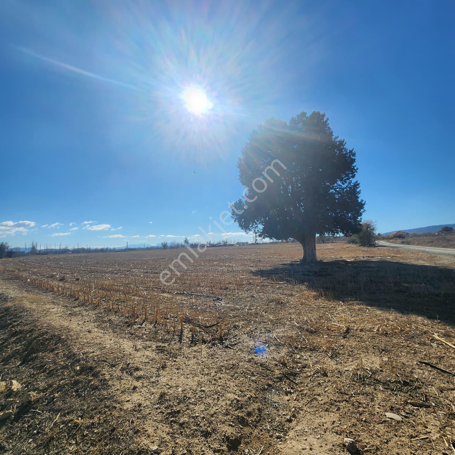 Ev Ve Araç Takasına Uygun Köy Yerleşim Sınırında 30 Dönüm Tarla - Görsel 3