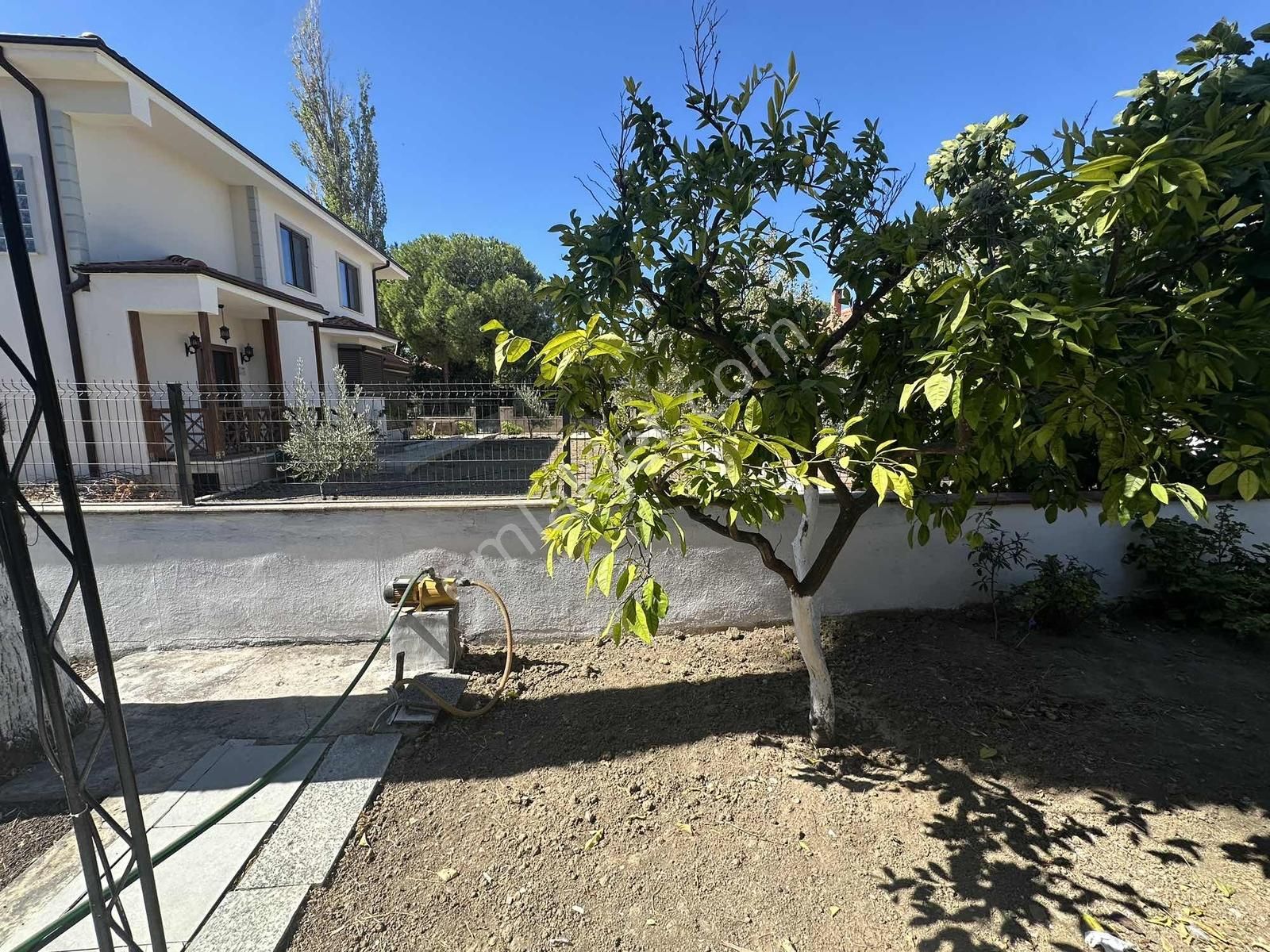 Altınova Sahilde 362 M2 Arsa İçerisinde Müstakil Tek Katlı Ev - Görsel 20