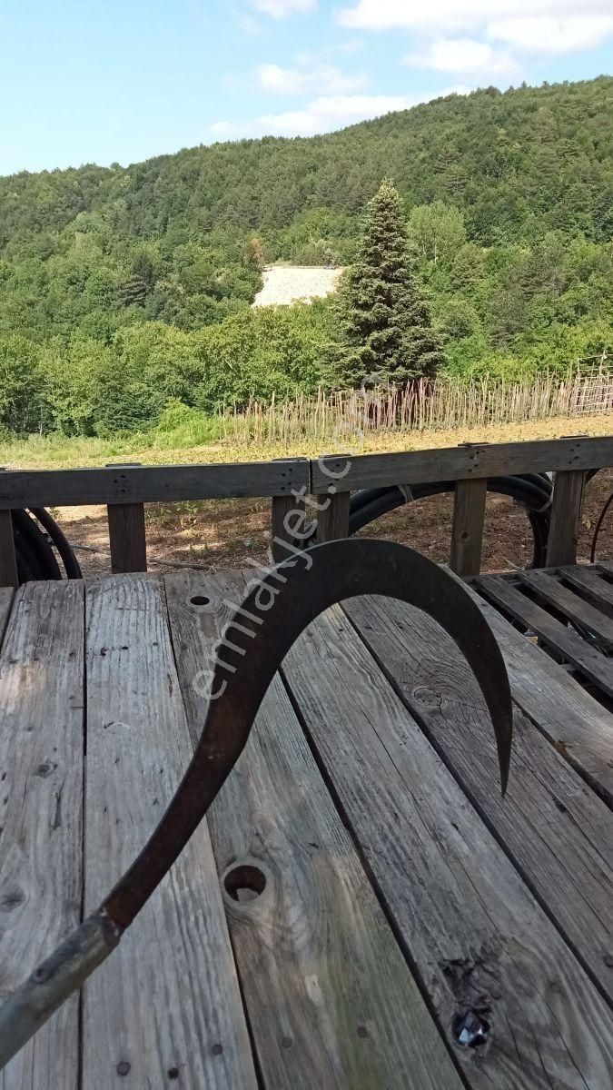 Gözede Köyünde Muhteşem Konumda Satılık Tarla - Görsel 5