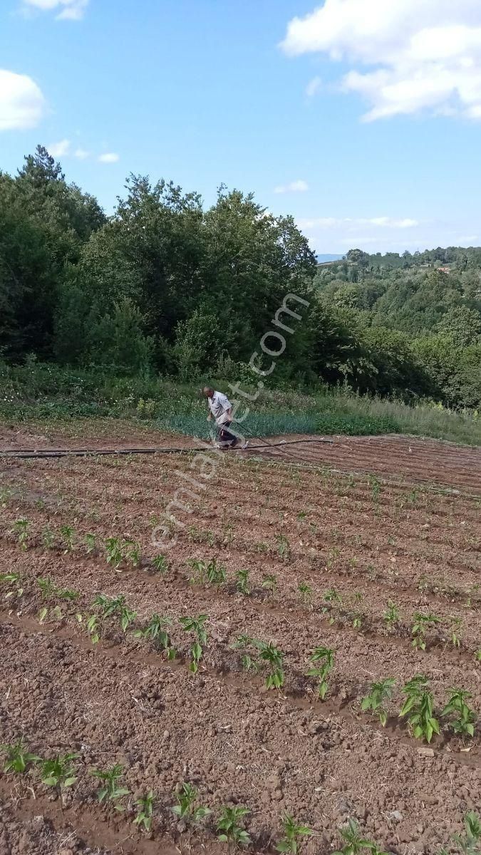 Gözede Köyünde Muhteşem Konumda Satılık Tarla - Görsel 8