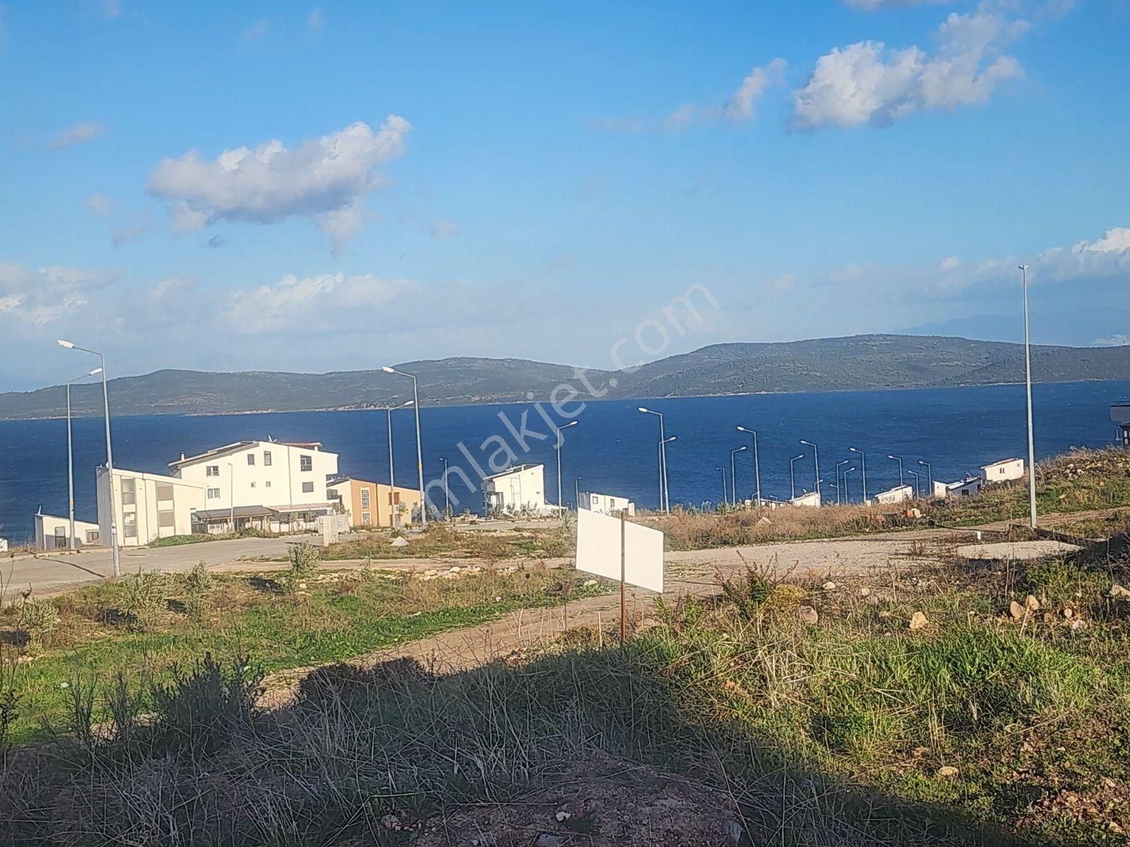 Mordoğan Emlak Kamukenye 544 Ada 1 Parsel Bulvarda Satılık Arsa - Görsel 4