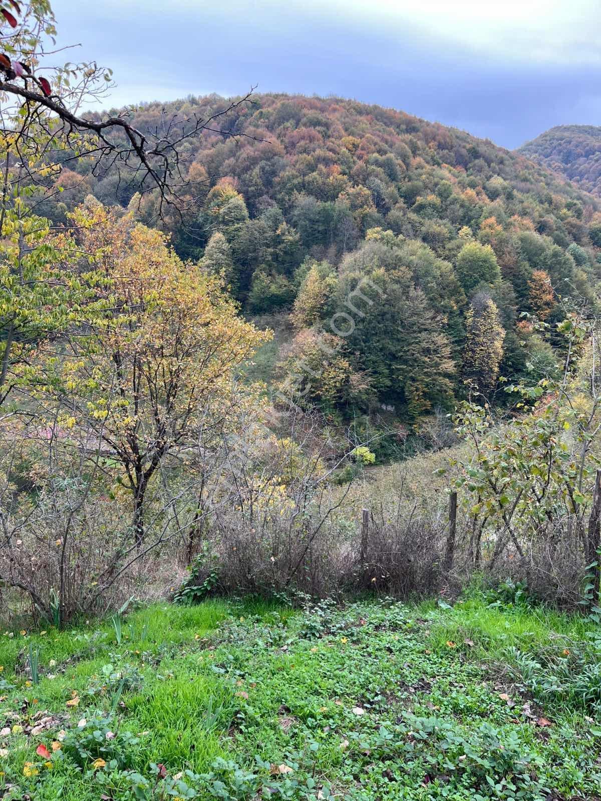 Ruşen Aydın Gyd'dan Kaynaşlı Karaçalı'da Satılık İmarlı Arsa - Görsel 33