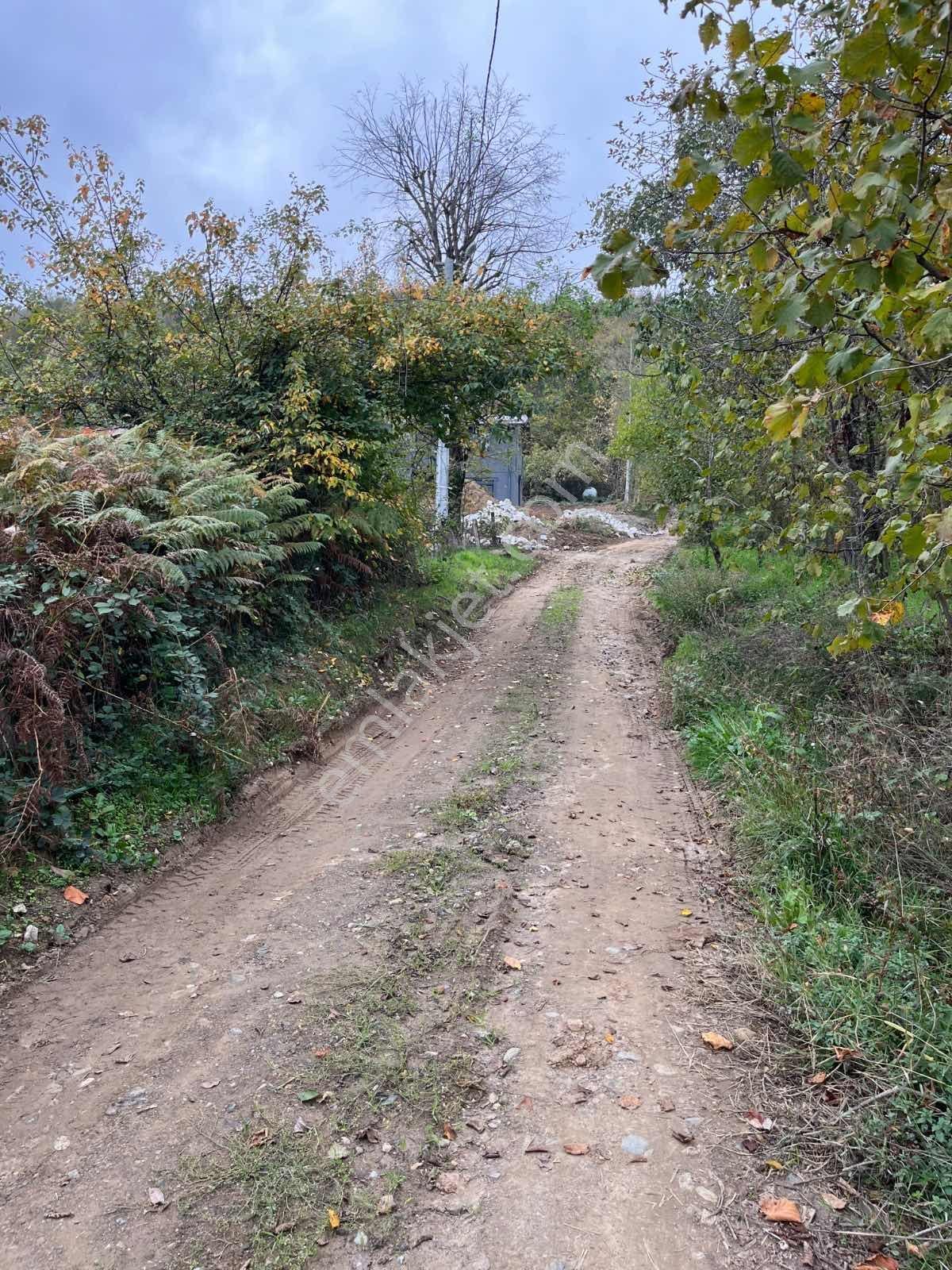 Ruşen Aydın Gyd'dan Kaynaşlı Karaçalı'da Satılık İmarlı Arsa - Görsel 4