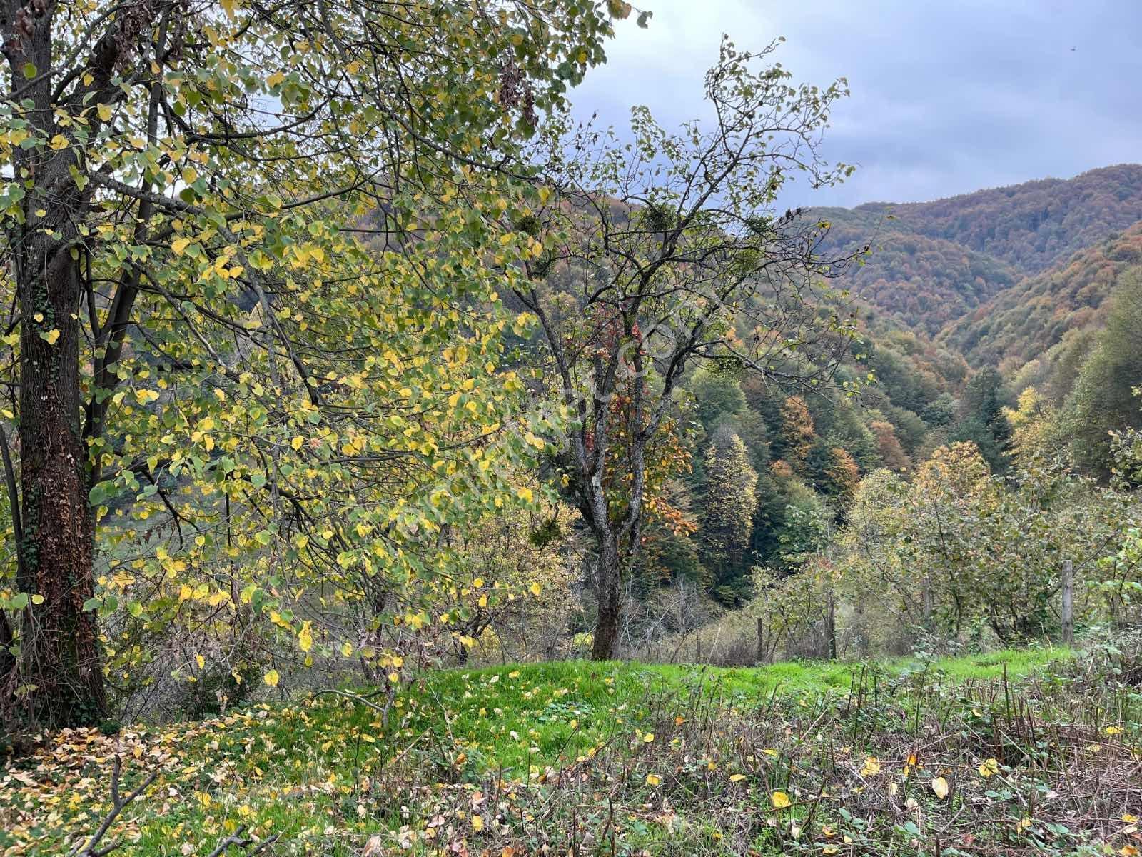 Ruşen Aydın Gyd'dan Kaynaşlı Karaçalı'da Satılık İmarlı Arsa - Görsel 21