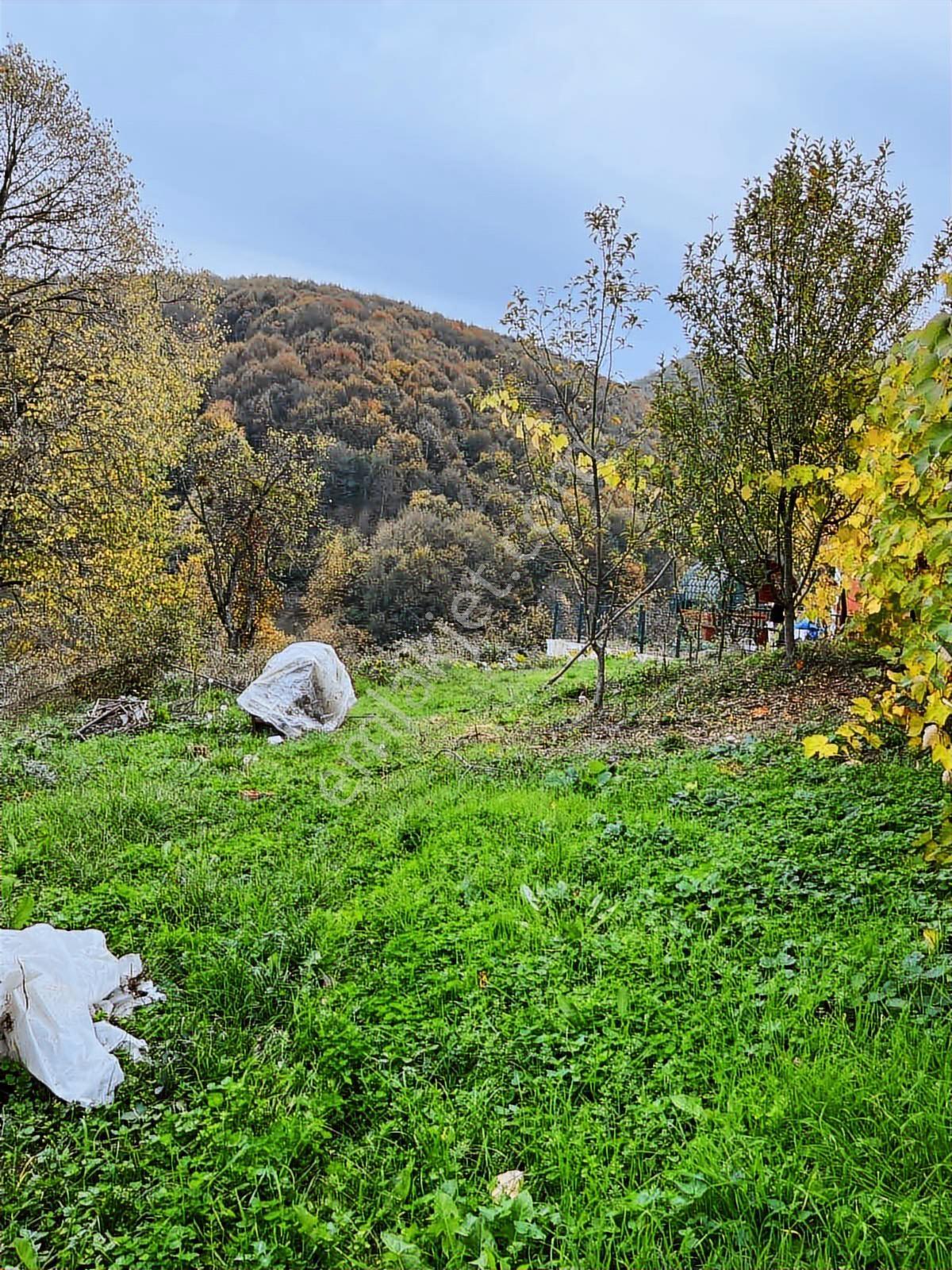 Ruşen Aydın Gyd'dan Kaynaşlı Karaçalı'da Satılık İmarlı Arsa - Görsel 13