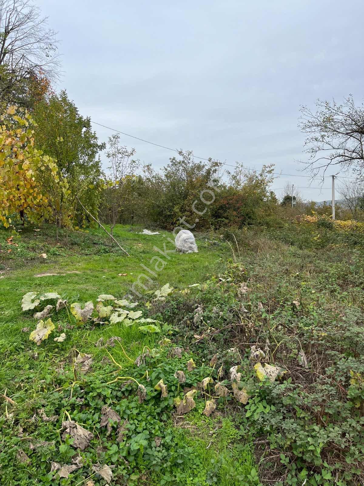 Ruşen Aydın Gyd'dan Kaynaşlı Karaçalı'da Satılık İmarlı Arsa - Görsel 14
