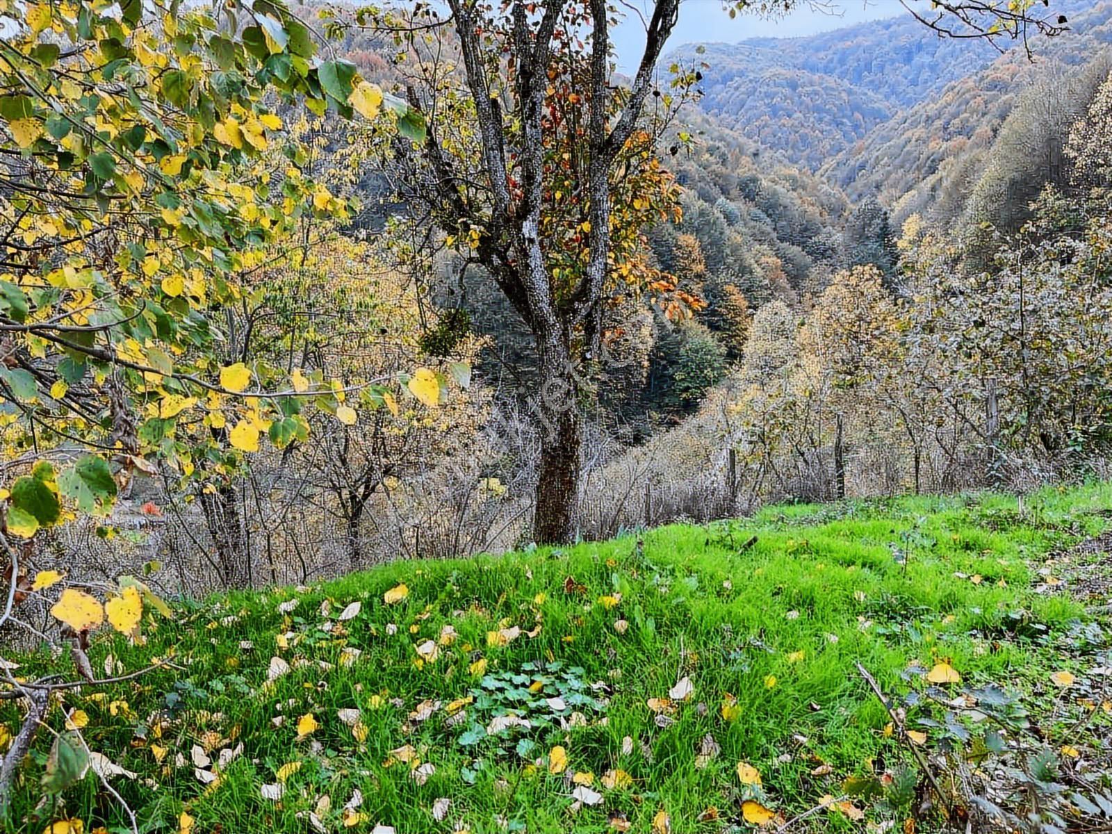Ruşen Aydın Gyd'dan Kaynaşlı Karaçalı'da Satılık İmarlı Arsa - Görsel 12