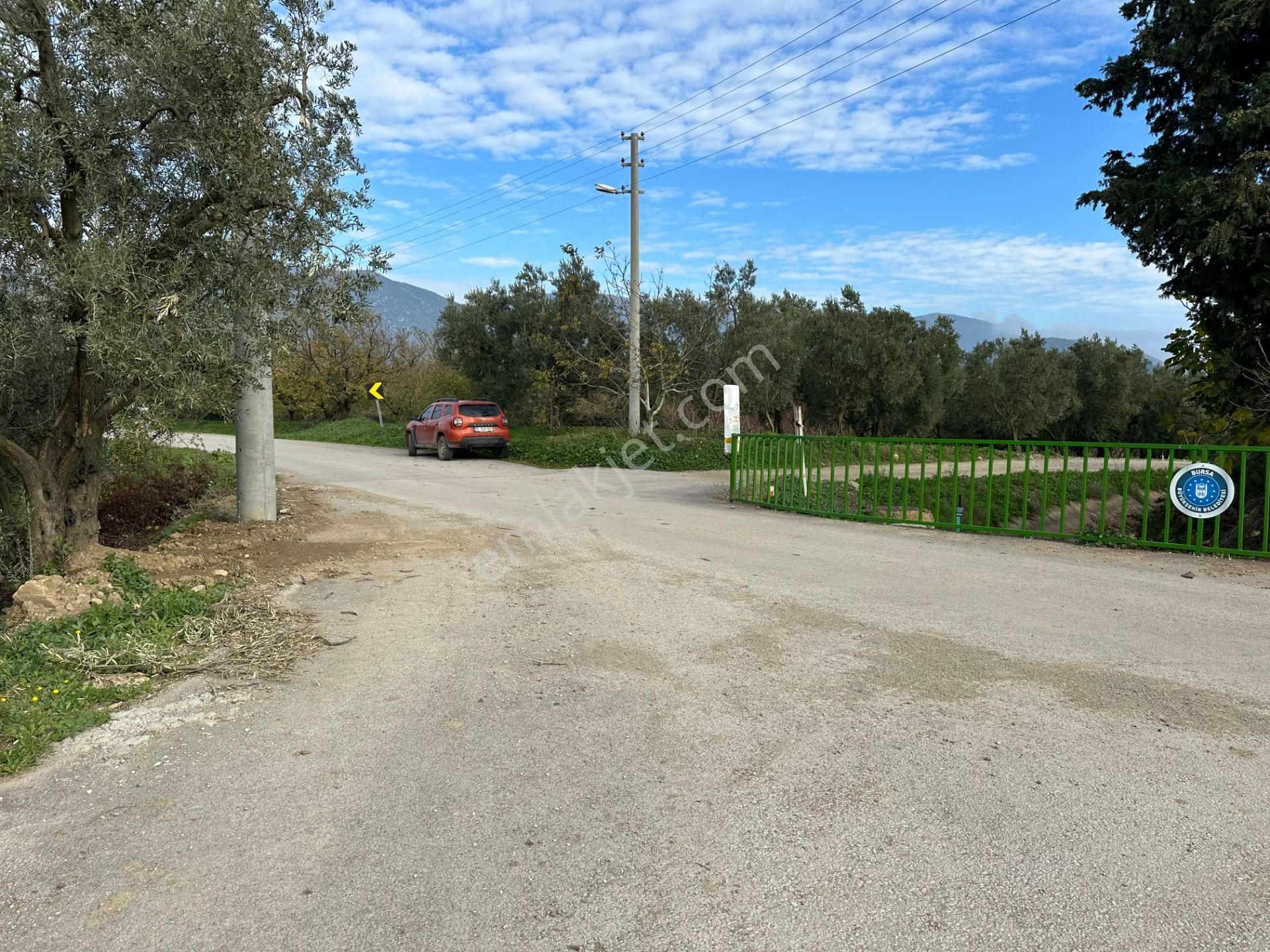 İznik Hocaköy Mahallesinde İmar Sınırında 3040 M2 Satılık Zeytin Bahçesi - Görsel 26