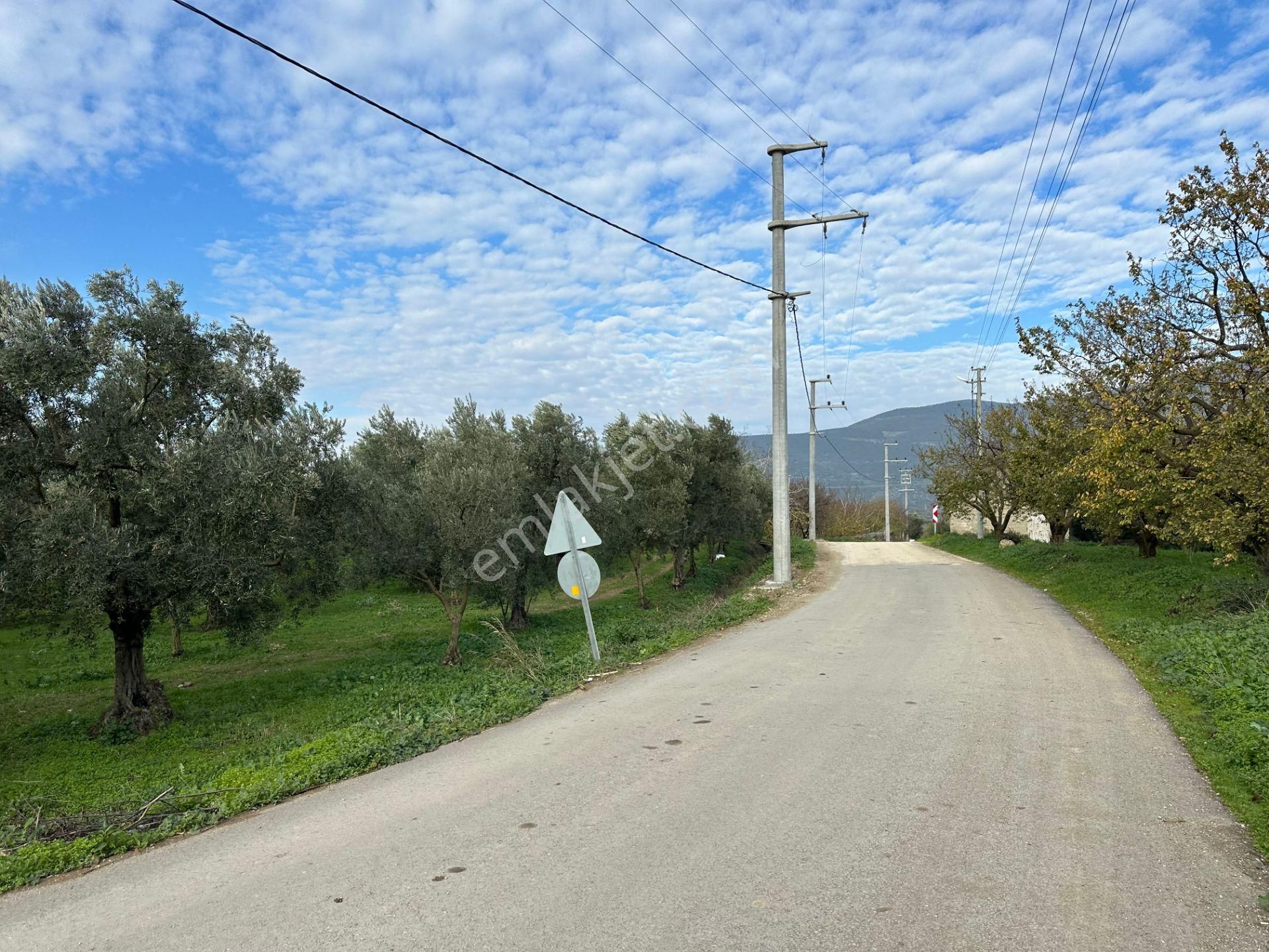 İznik Hocaköy Mahallesinde İmar Sınırında 3040 M2 Satılık Zeytin Bahçesi - Görsel 27