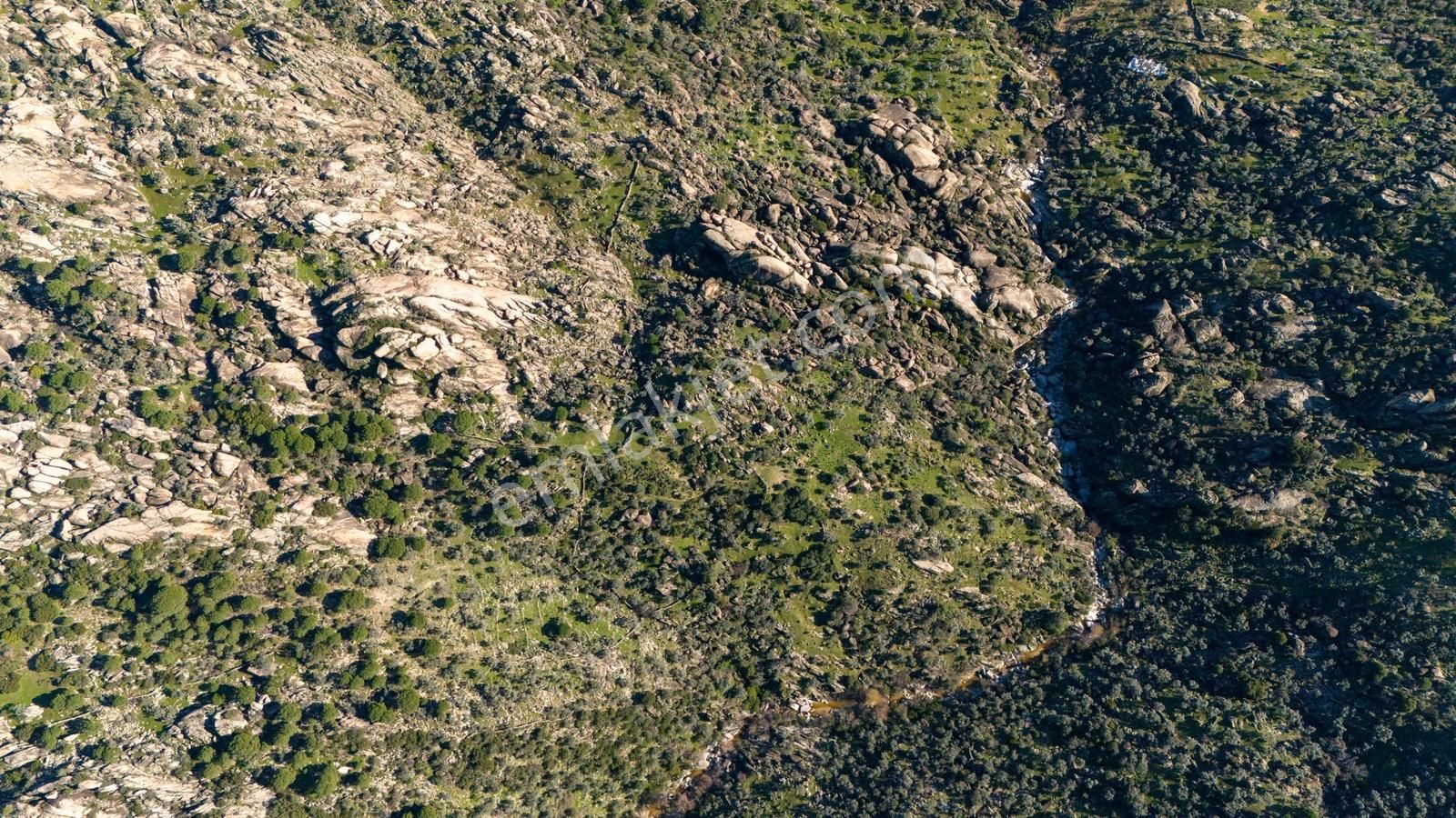 Son Fırsat Fiyat Düştü 5.3 Dönüm Zeytinlik - Görsel 7